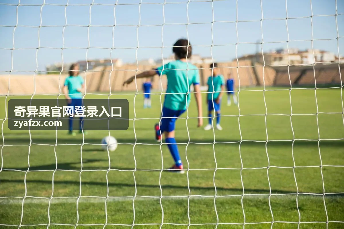 奇异果登录账号与设备安全核对